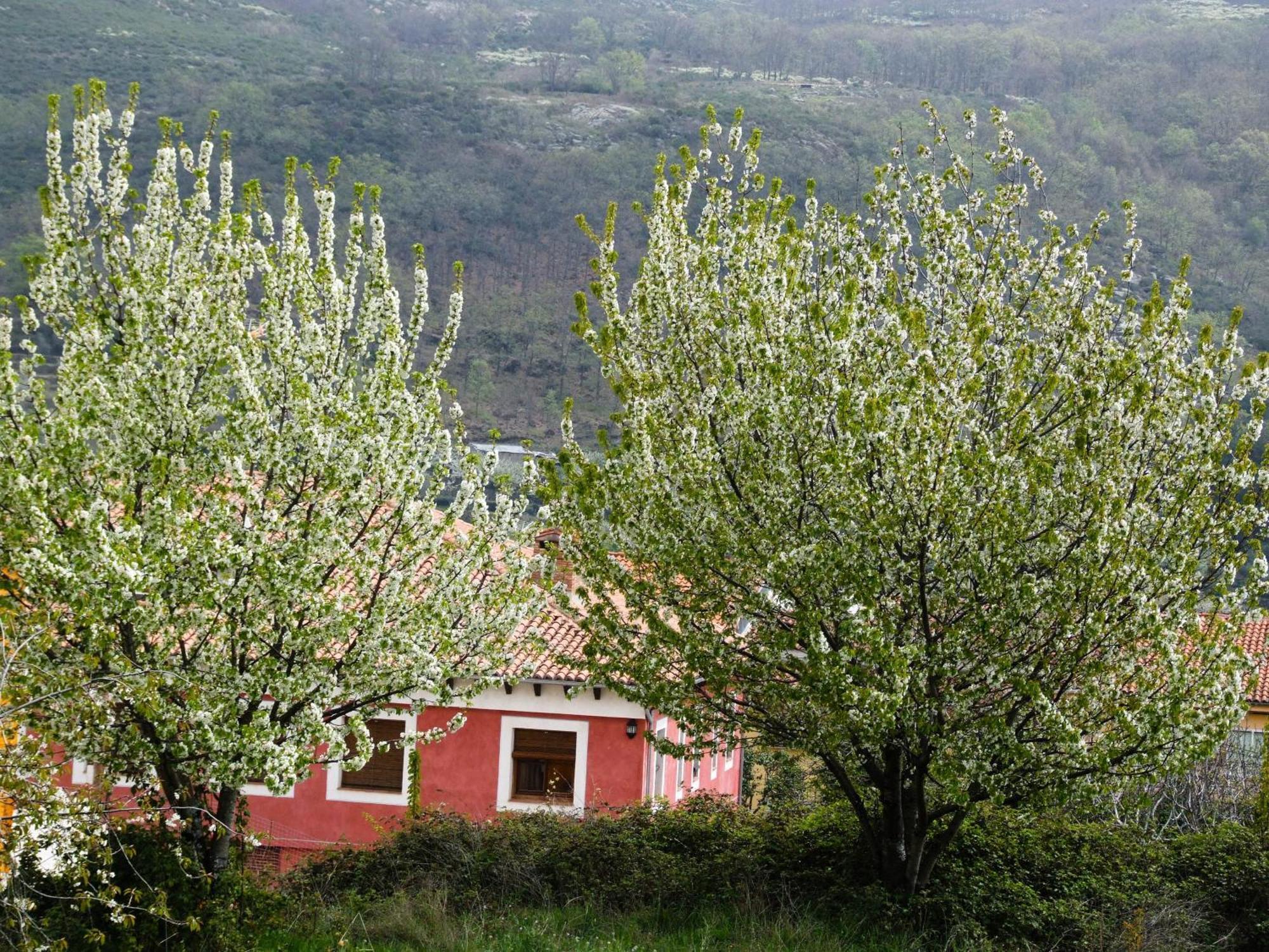 Hotel Rural Carlos I Garganta la Olla Exterior photo